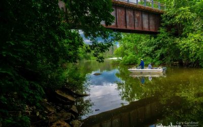 Fishing Under The Big Walnut Bridge
