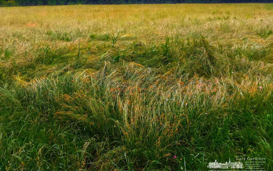 Braun Farm Hay After Storm