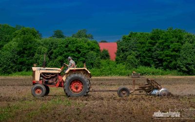 Late Planting Season Tilling