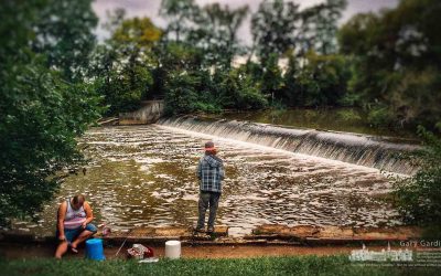 Fishing And Browsing At The Dam