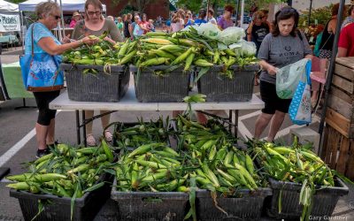 More Than Enough Corn