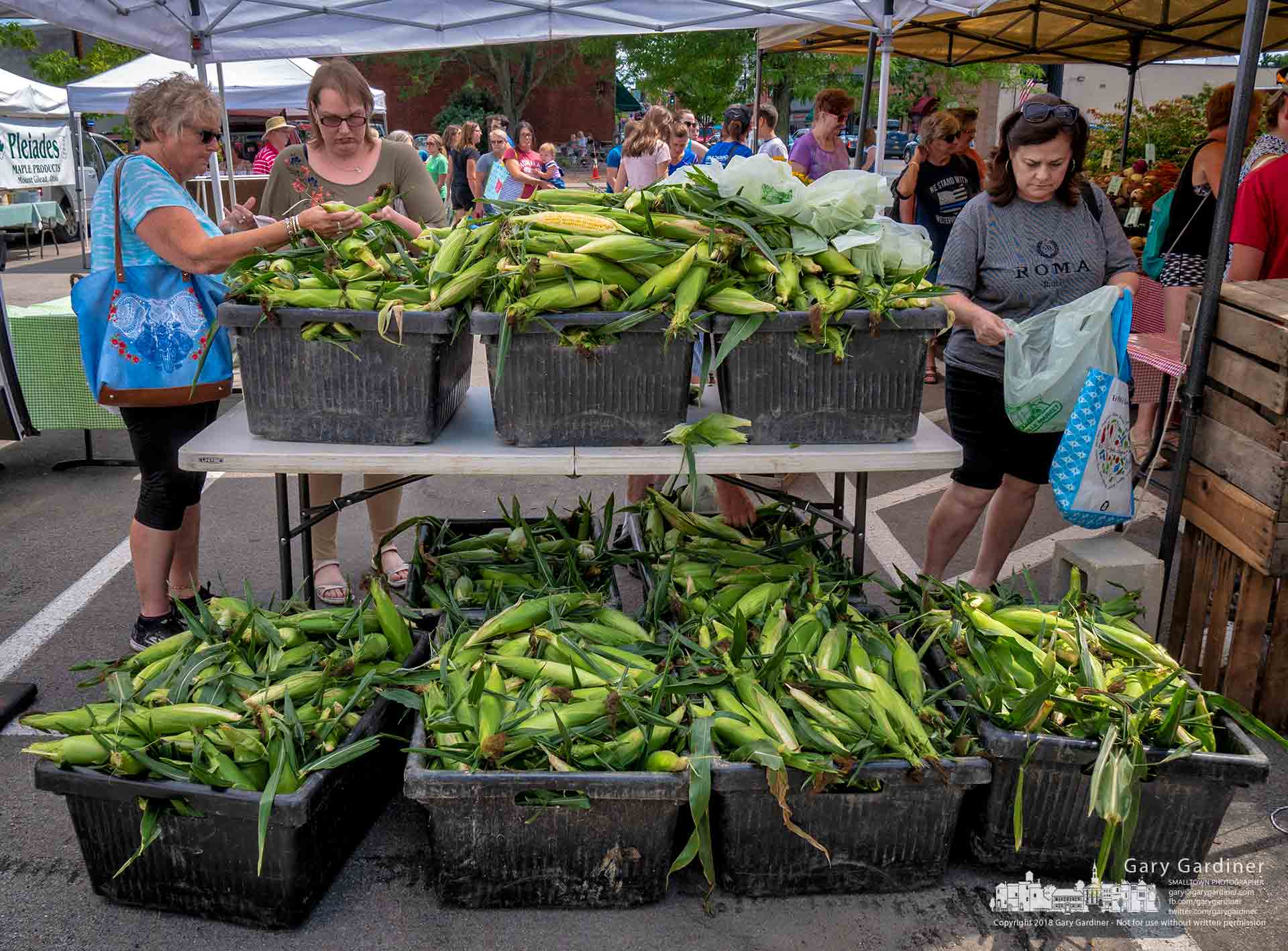 Customers sort through one farmer's selection of fresh corn at the Uptown Westerville Farmers Market. My Final Photo for July 18, 2018.