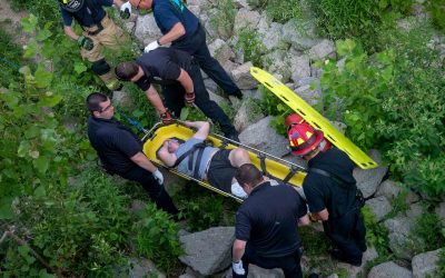 Bridge Rescue