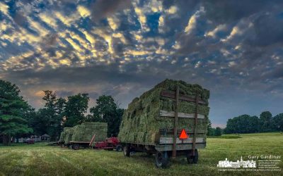 Sunset Baling