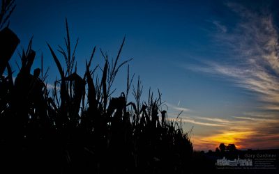 Farm Field Sunset