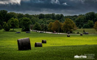 Bright Moment In A Cloudy Morning