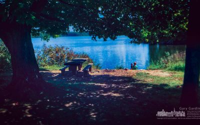Mother And Son Anglers