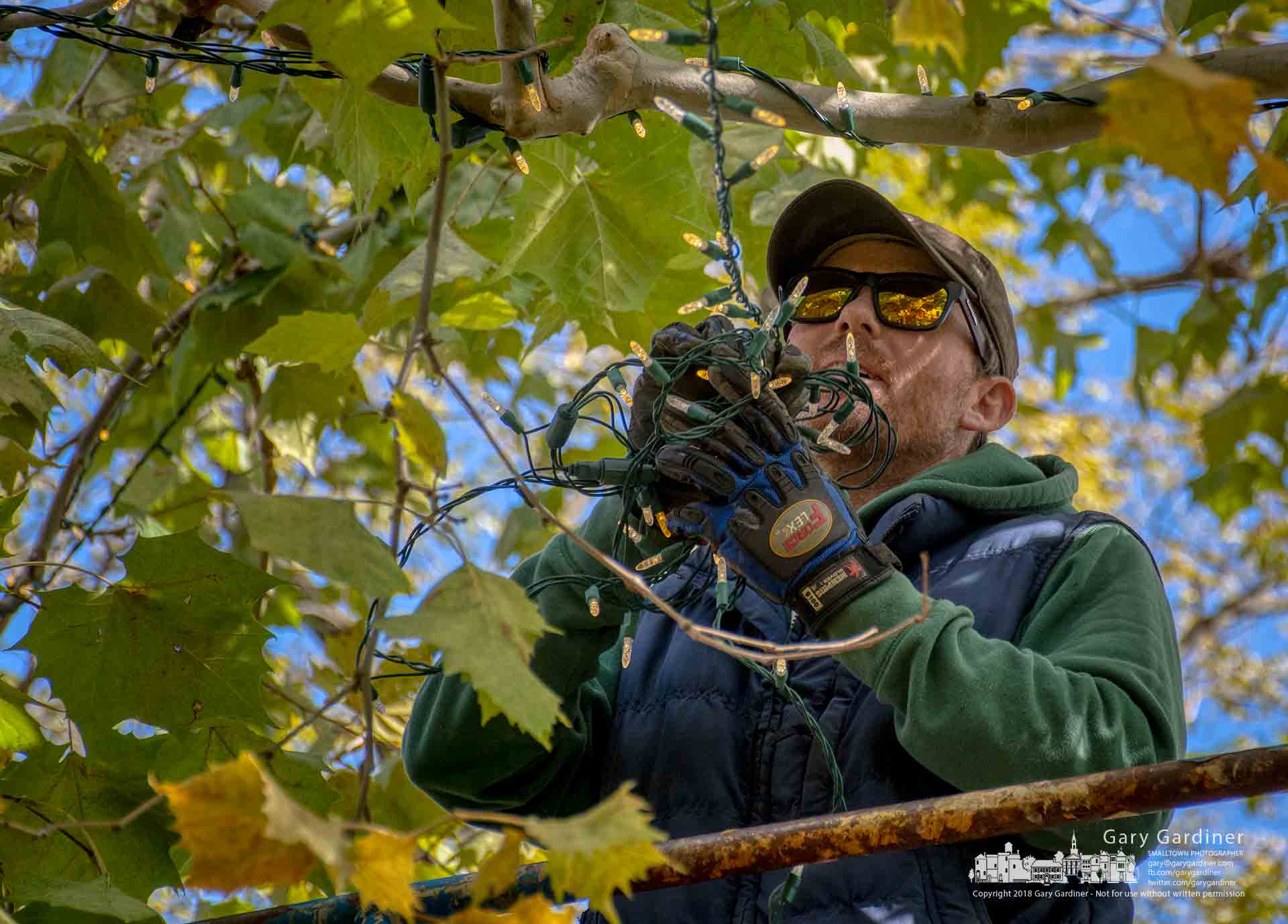 City park workers began installing holiday lights in the trees at Heritage Park in advance of Christmas season ceremonies and events despite having to wrap the cables and lines over and around leaves which have yet to have fallen to the ground. My Final Photo for Oct. 23, 2018.