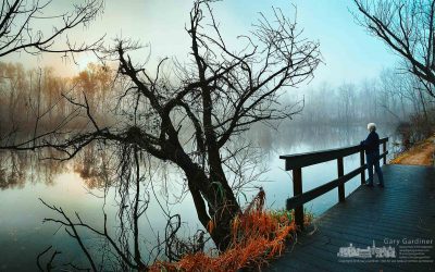 Wetlands Foggy Sunrise