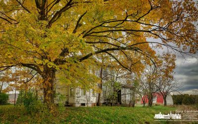 Fall on the Farm