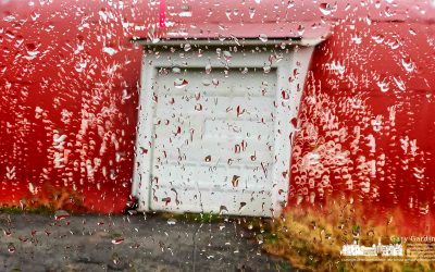 Wet Day On The Braun Farm