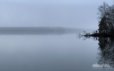 Fishing In The Morning Fog
