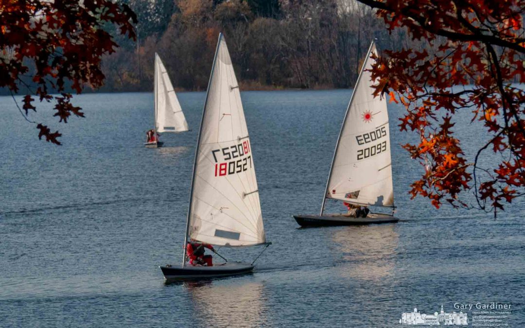 Brisk Day For Sailing