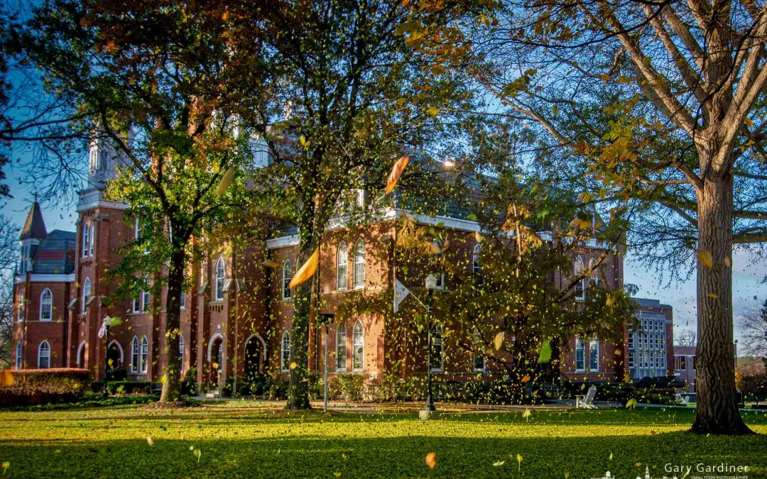 Finally Fall Leaves Fall