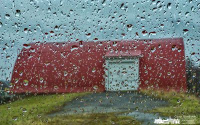 Rainy End Of The Year