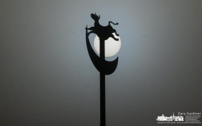 The cow, the moon, and a foggy sun