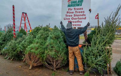 A Sign Christmas Is Over