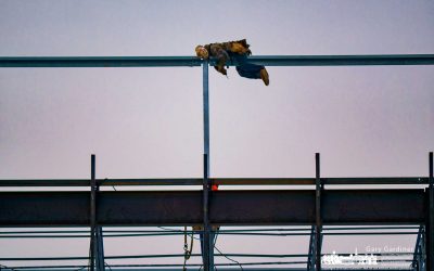 Lying Down On The Job