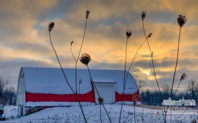 Winter Morning Sunrise