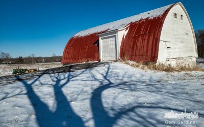 Long Shadows Of Winter