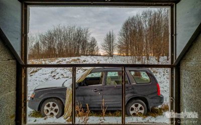 From Inside The Barn