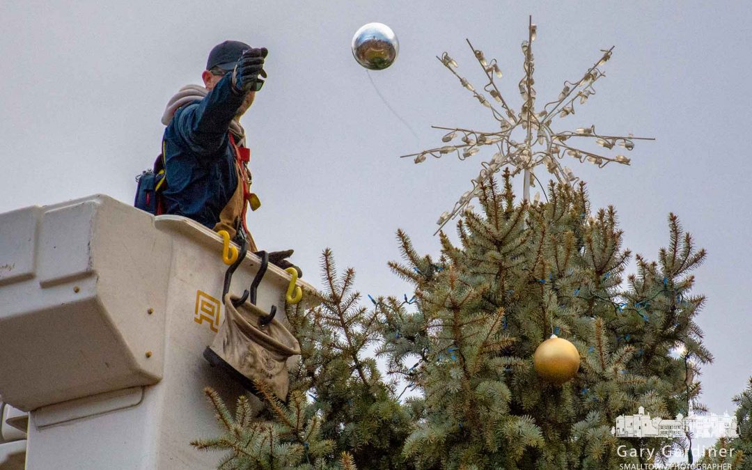 #ThrowAwayYourChristmasTreeDay