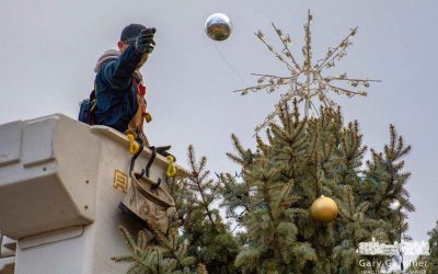 #ThrowAwayYourChristmasTreeDay