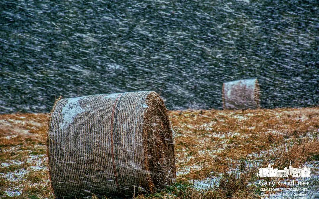Winter Welcome Calling Card