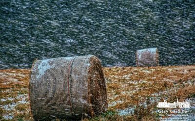 Winter Welcome Calling Card