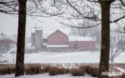 Snow Across The Farm Field