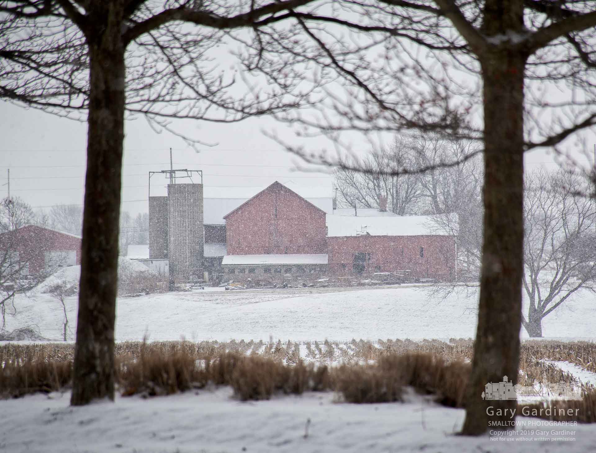 A morning snow squall blows across the open field below the Yarnell farm on Africa Road in Westerville. My Final Photo for Jan. 26, 2019.