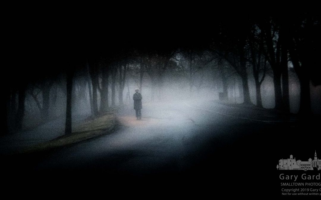 A Walk In The Evening Fog