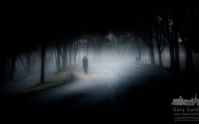 A Walk In The Evening Fog
