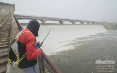 Foggy Day For Fishing