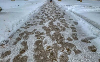 Snow Path To Education