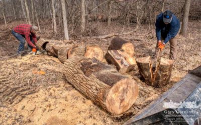 Firewood For The Week