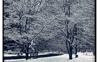 March Snowstorm