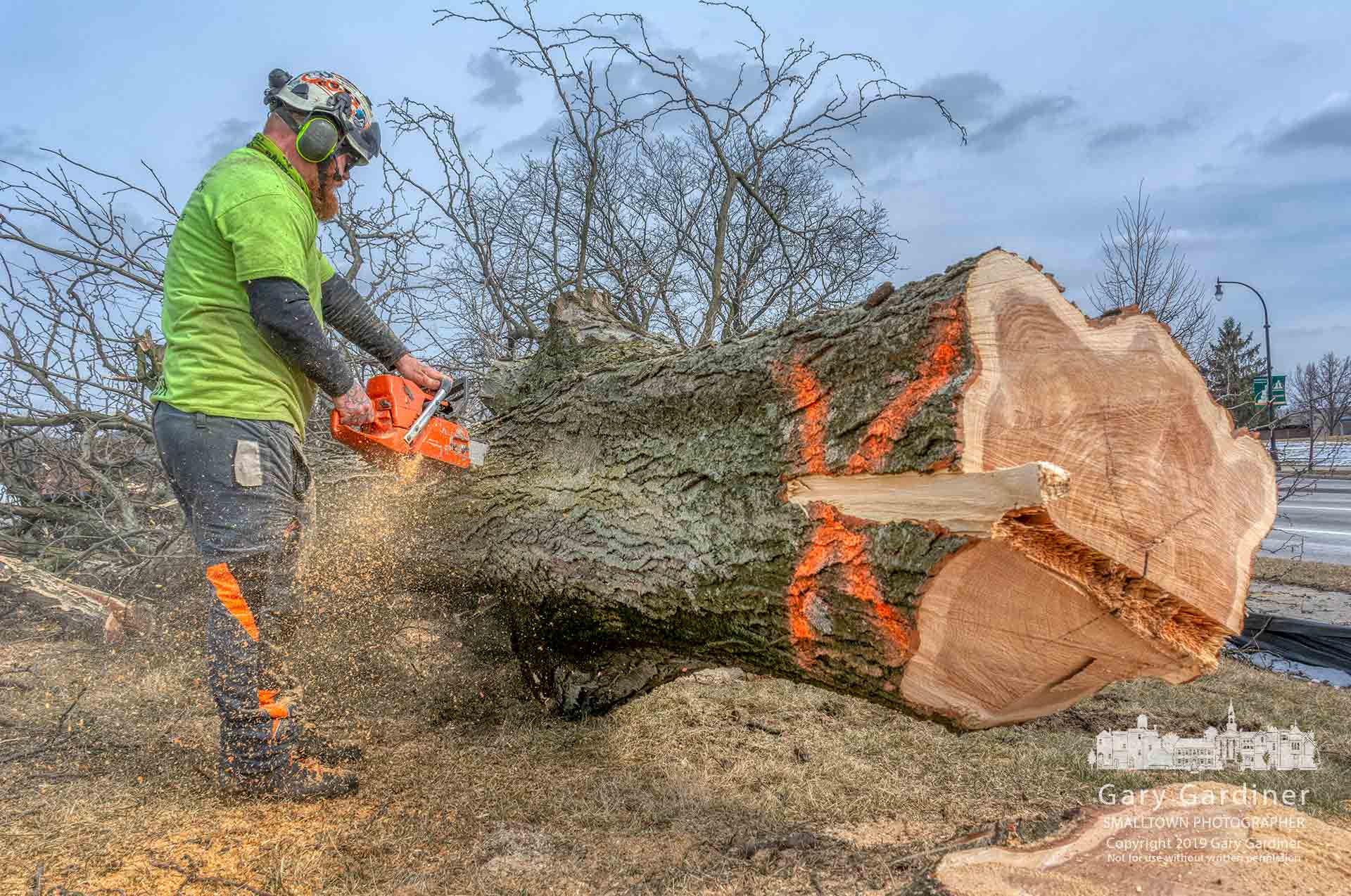 An arborist sections one of five honey locust trees after it was cut to make way for a parking lot for the New First Watch restaurant at State Street and Huber Village Boulevard. My Final Photo for March 7, 2019.