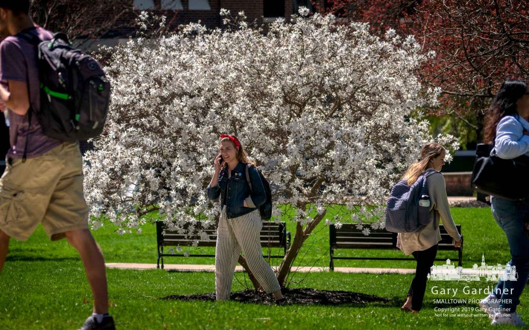 Springtime On Campus