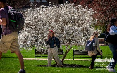 Springtime On Campus