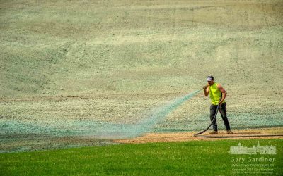 Sledding Hill Seeded For Summer Growth
