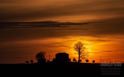 Spring Sunset