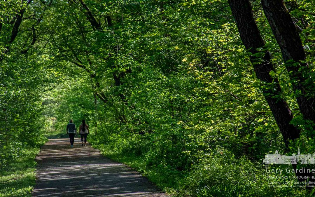 Out  For A Walk And A Talk