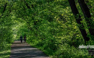 Out  For A Walk And A Talk