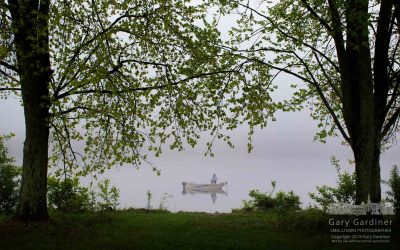 Foggy Morning Fishing