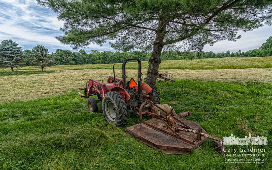 Ready To Cut Grass