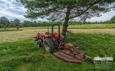 Ready To Cut Grass