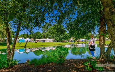 Music And Arts Reflection