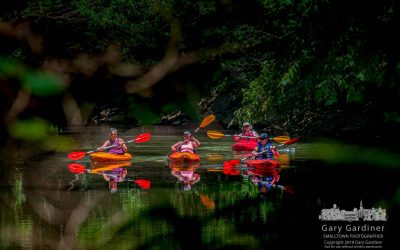 Kayaking Quartet