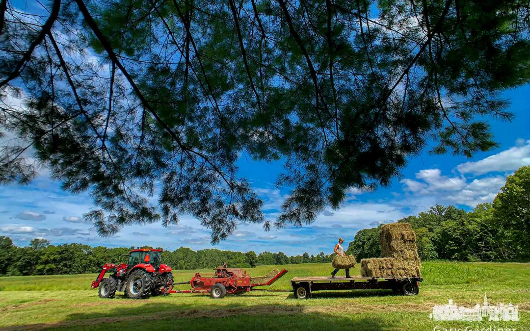 Hay Wagon Workers